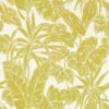 Parlour Palm 112022